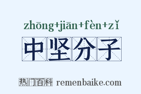 中坚分子是什么意思的图片